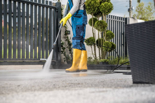 Best Playground Equipment Cleaning  in Wewahitchka, FL